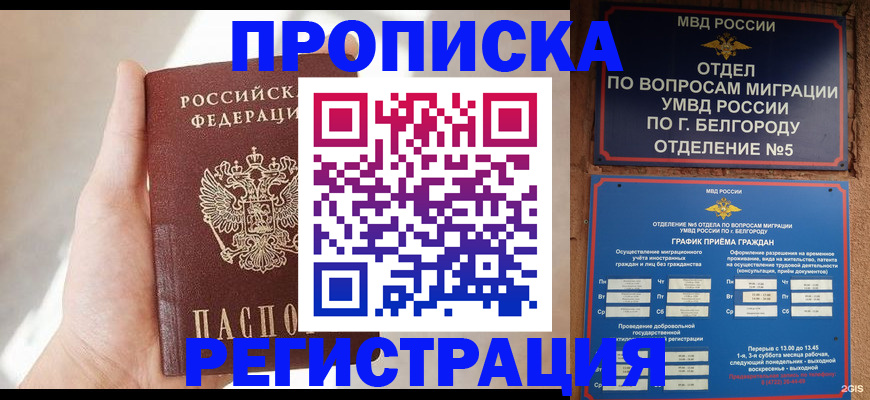 прописка гарантия в Новосибирске
